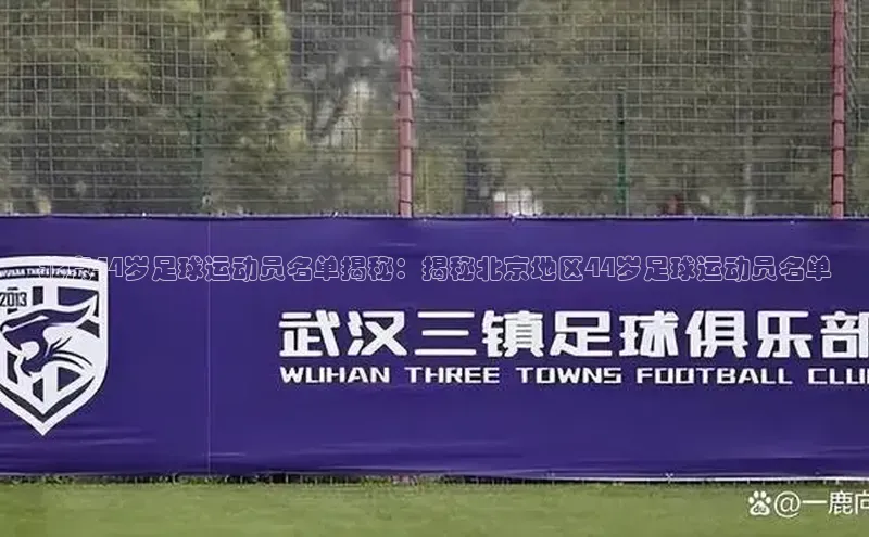WilliamHill官方网站百度网盘企业版北京44岁足球运动员名单揭秘：揭秘北京地区44岁足球运动员名单
