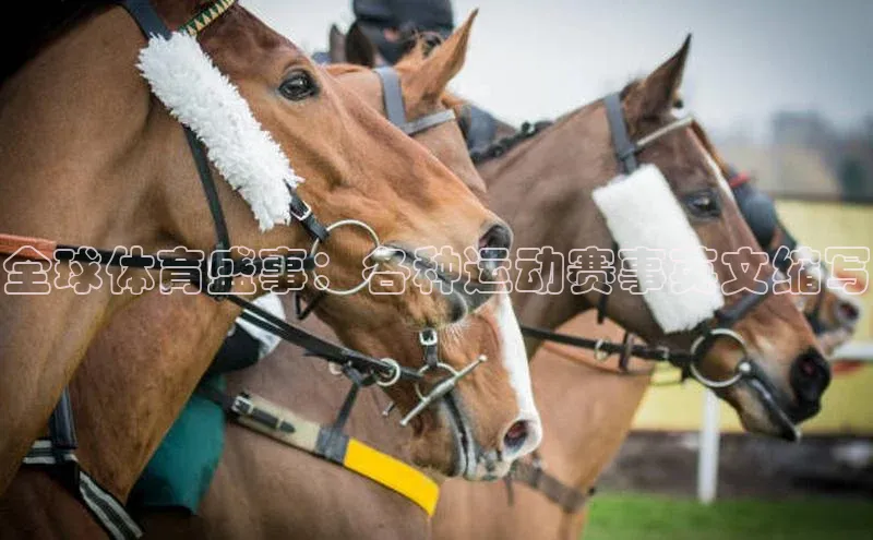 威廉希尔中文网站平台猫眼全球体育盛事：各种运动赛事英文缩写