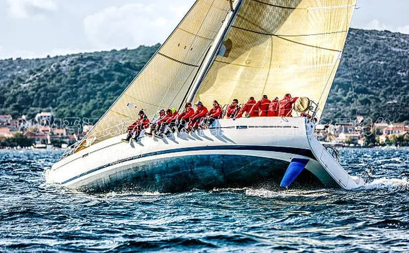 威廉希尔足球网百度社团赞助平台2024晋江体育盛事：健康与激情的多元舞台