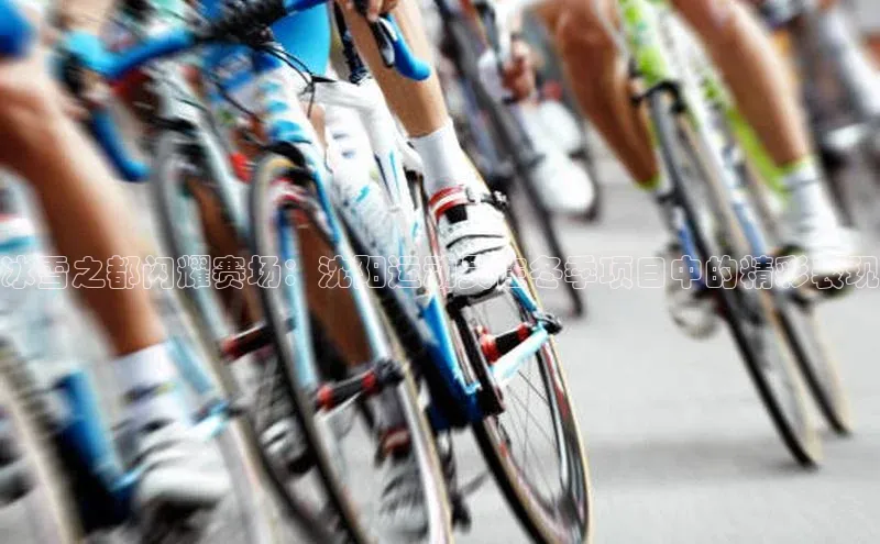 威廉希尔体育官网入口荣信文化冰雪之都闪耀赛场：沈阳运动员在冬季项目中的精彩表现