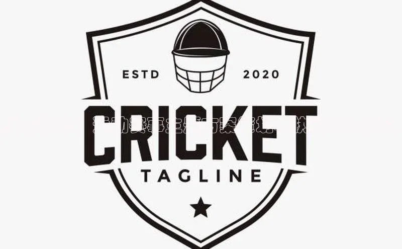 WilliamHill中文官方网站普信公司绿茵激情：运动赛事主题方案策划与执行策略探讨