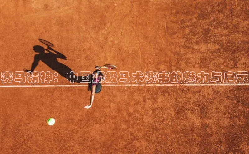 赛马精神：中国顶级马术赛事的魅力与启示