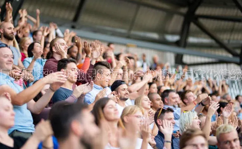 民族风采：少数民族运动会的魅力与文化传统