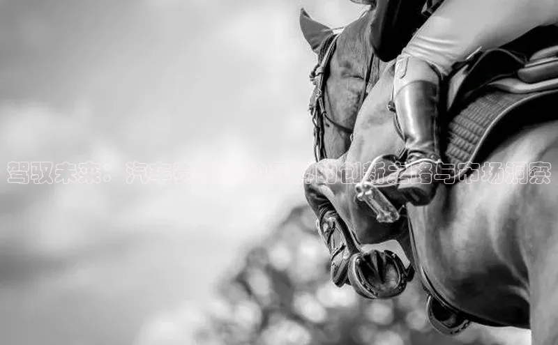 驾驭未来：汽车赛事运动品牌的创新之路与市场洞察