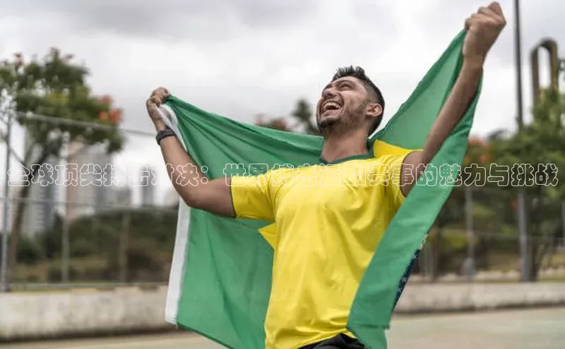 全球顶尖搏击对决：世界搏击运动赛事的魅力与挑战