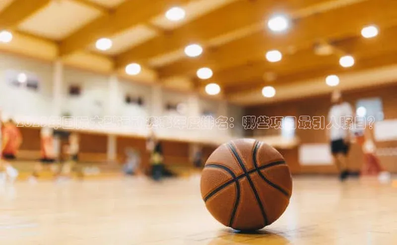 2023年国际大型运动赛事年度排名：哪些项目最引人瞩目？