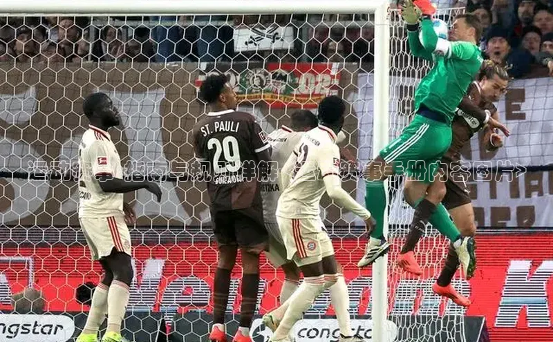 运动赛事:指南与规则详解-<运动赛事手册内容图片>