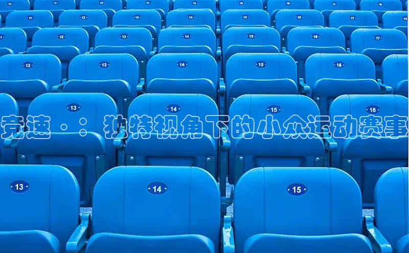 竞速·：独特视角下的小众运动赛事
