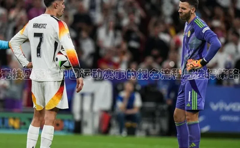 竞技盛事：中国运动赛事的报名流程与选择策略