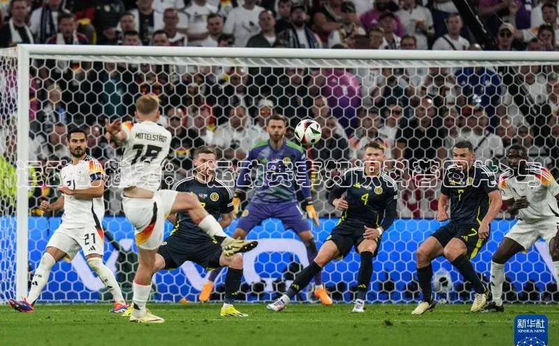 威廉希尔官网网址是多少